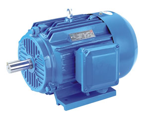 YE2系列高效節能三相異步電動機.jpg