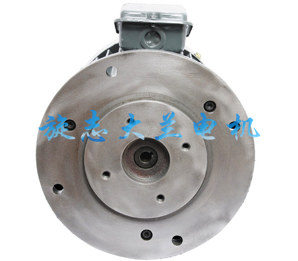 HGP-2A立式油泵電動(dòng)機(jī)
