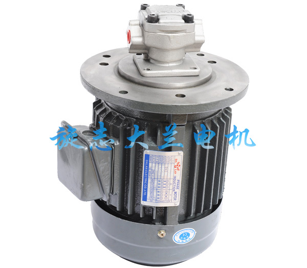 HGP-2A立式油泵電動(dòng)機(jī)組