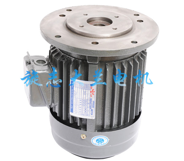 大蘭PA立式油泵電機.jpg