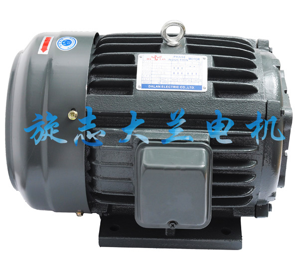大蘭VP30油泵電機.jpg