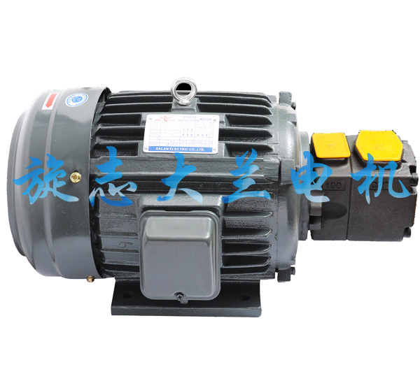 【黑龍江】下單訂購大蘭5.5千瓦油泵專用電機(jī)，是靠運(yùn)氣還是實(shí)力？
